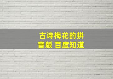 古诗梅花的拼音版 百度知道